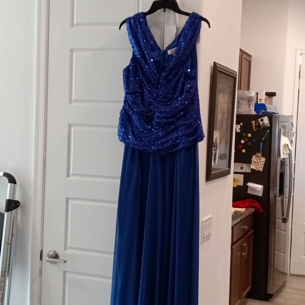 Beautiful Blue sequin gown.